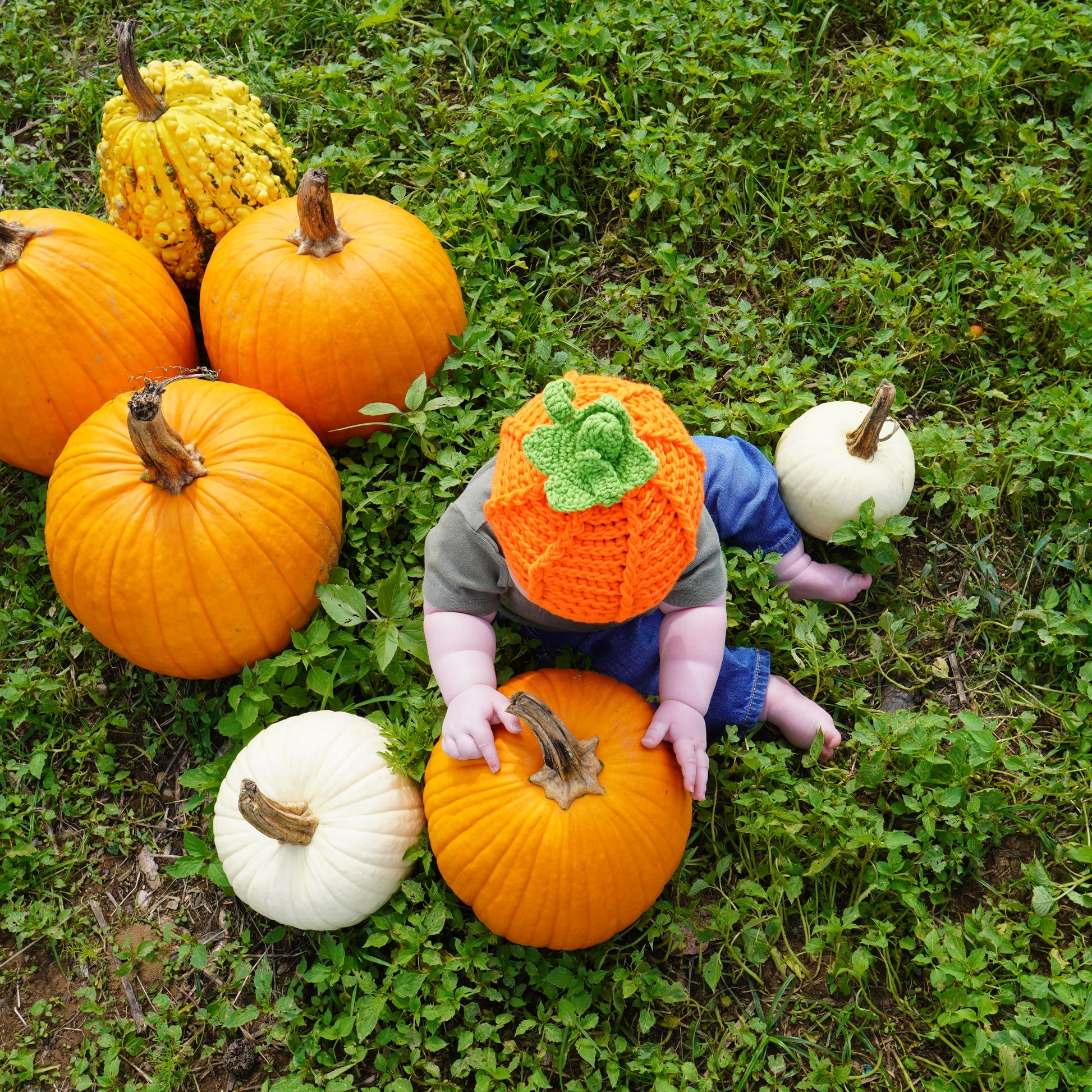 the pumpkin pickin' hat