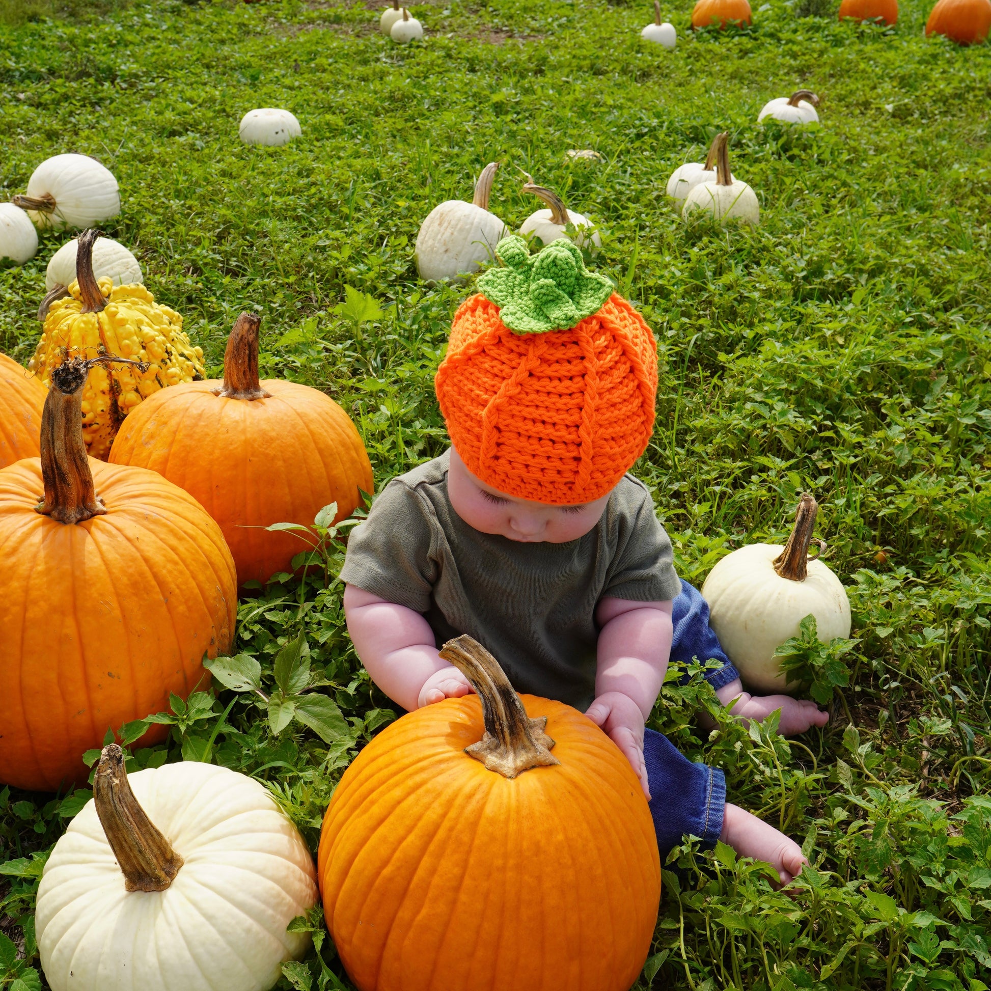 the pumpkin pickin' hat