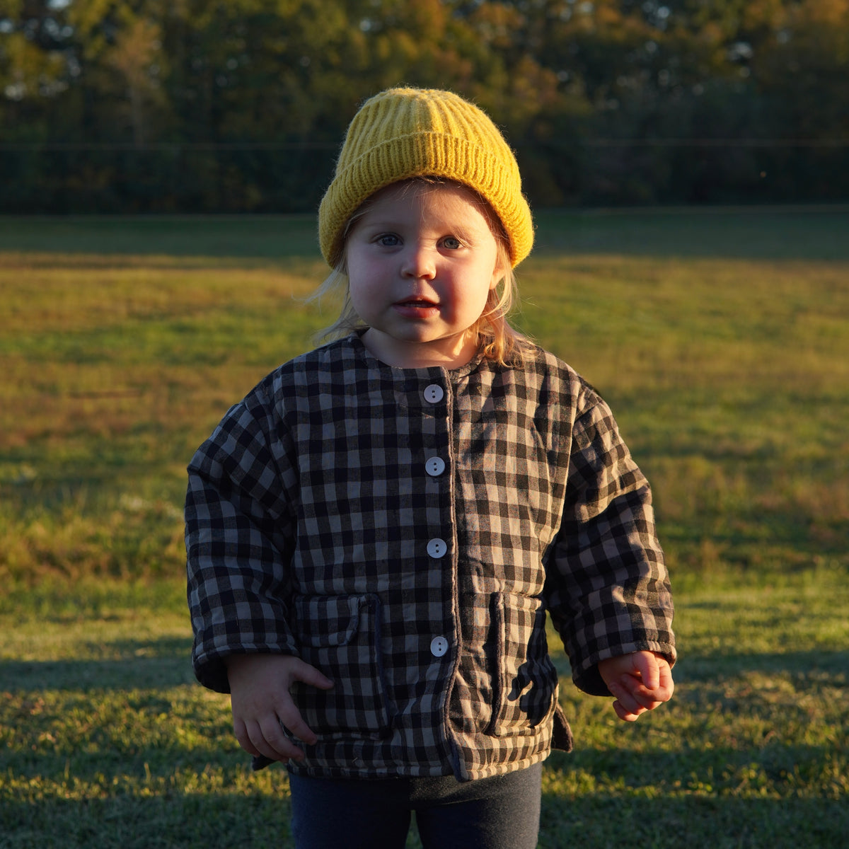 the scout jacket
