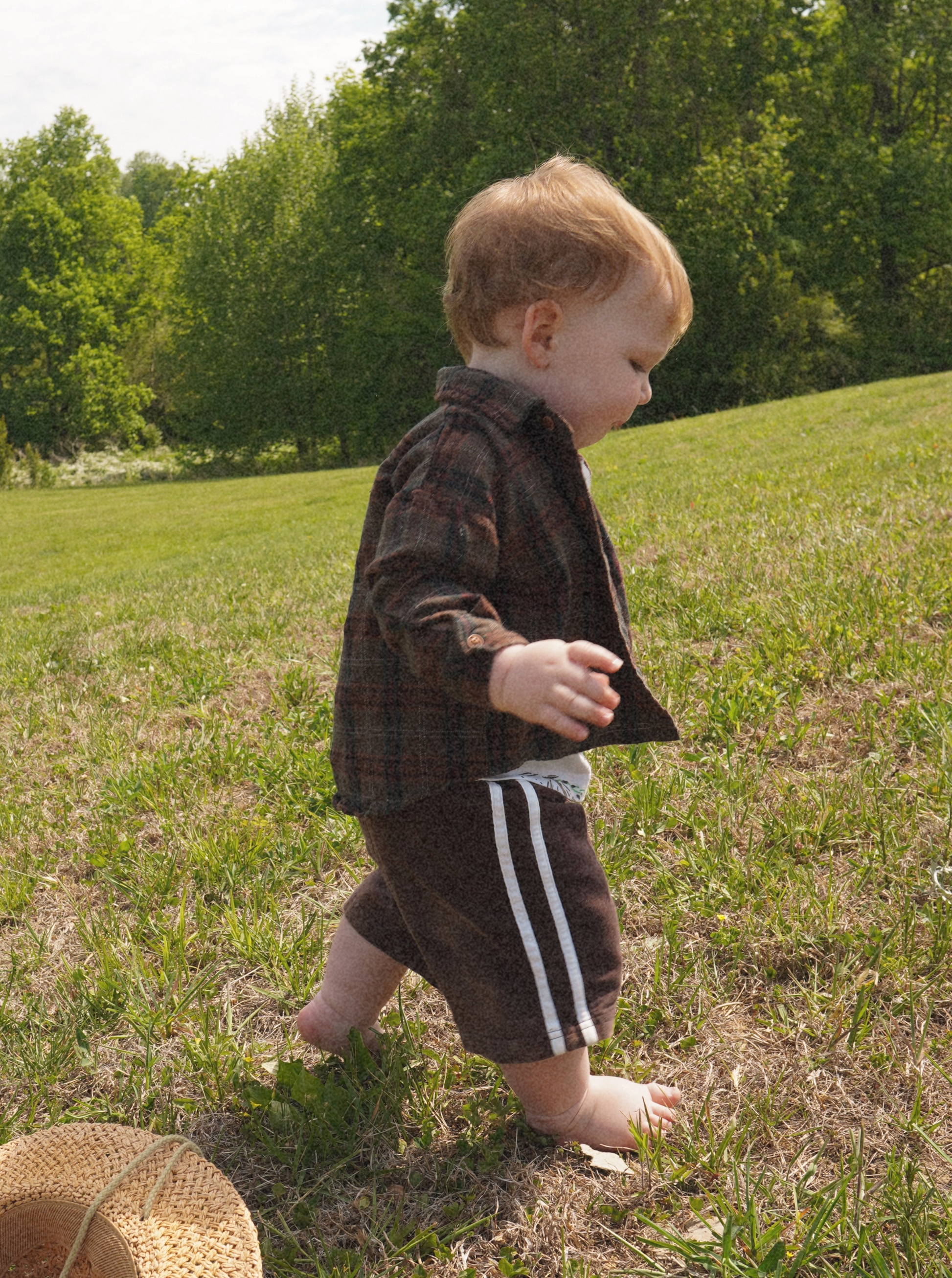 the forest flannel