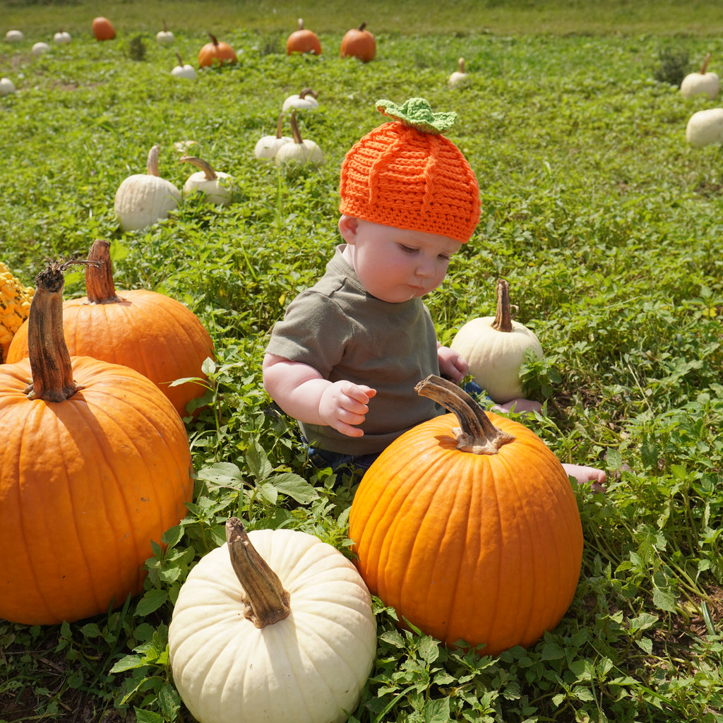 the pumpkin pickin' hat